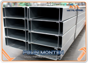 polin monten2